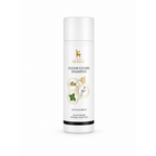 DR TAGY Gleam Guard Bitkisel Kepek Şampuanı 200 ml